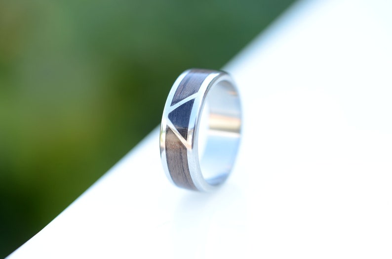 Signature Style Gibeon Meteorite and Dinosaur Bone Men/'s Titanium Wedding Band