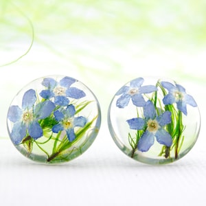 Blaue Ohrringe Vergissmeinnicht aus Resin. Echte Getrocknete Vergissmeinnicht Ohrringe. Getrocknete Vergissmeinnicht Ohrringe. Blau Geschenk für Sie