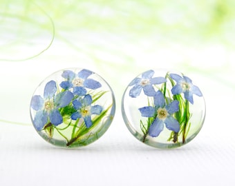 Blue Earrings Forget-Me-Not Resin. Real Dried Forget-Me-Not Earring. Dried Forget-Me-Not Earrings.Pressed Flower Earring. Blue Gift for Her
