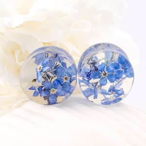 Vergissmeinnicht Blau Blume Plug Ohrringe Kunstharz Ohrstecker Hochzeit Plugs gepresste Blume Hochzeit Gauges Ohr Tunnel Terrarium Vergissmeinnicht Plugs
