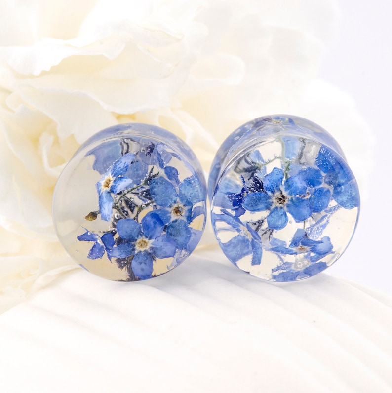 May include: Two clear glass ear gauges with blue forget-me-not flowers pressed inside. The gauges are round and have a smooth, polished finish.