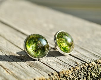 Forest Earrings. Green Moss Earrings Resin. Forest Moss Earrings. Green Moss Stud Earrings. Green Moss Earrings. Terrarium Earrings