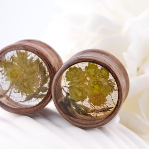 May include: A pair of wooden ear plugs with a clear resin centre, each displaying a preserved yellow-green floral arrangement. The plugs have a dark brown wood grain and are set against a soft white background.