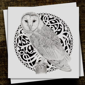 Carte de voeux vierge hibou celtique