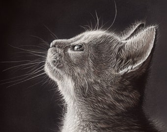 Black and White Cat A4 Fine Art Giclee Print