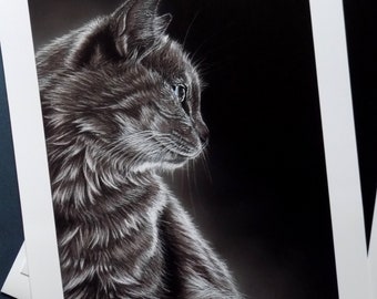 Black and White Cat Portrait - Fine Art A4 Giclee Print