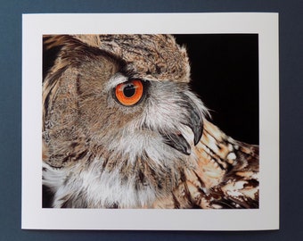 Eagle Owl - Fine Art Owl Giclee Print.