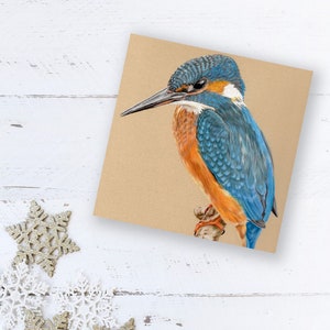 Kingfisher Greetings card , blank art card, notelet.