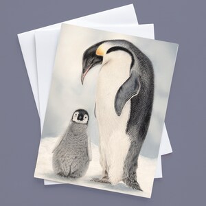 Carte de voeux Pingouins - Vierge à l'intérieur ou message Joyeux Noël