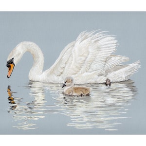 Swan and Cygnet - Mother and Baby Fine art Giclee print 10x8inches