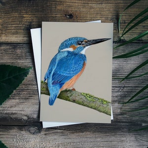 Kingfisher Blank Greetings Card - Art Card -  Colourful Bird