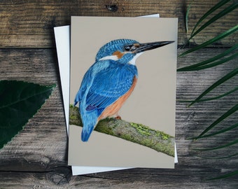 Kingfisher Blank Greetings Card - Art Card -  Colourful Bird