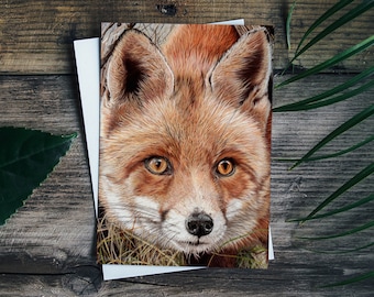 Fox - Foxy Face Blank Greetings Card - Art Card