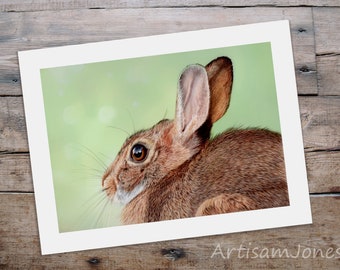 Cottontail Bunny - Fine Art Giclee Print - Springtime Rabbit.