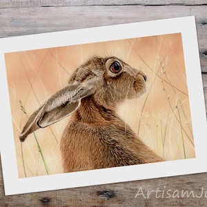 Hare Fine Art Giclee Print - Summer Hare