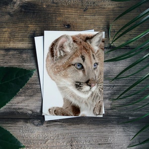 Cougar Cub Greetings Card - Blank inside or Happy Christmas.