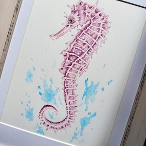 Original Watercolour Seahorse - Framed Art.