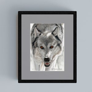 クラウス・ハーパニエミ ジクレー Mr.Wolf ジクレー 版画 限定 アートプリント A3 - 二匹のオオカミ - ジクレー版画 - Etsy 日本