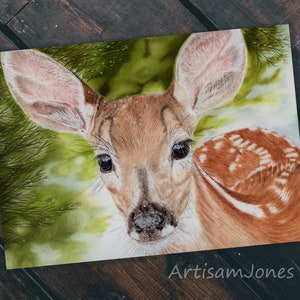 Cute Deer greetings card - Blank inside or Happy Christmas message.