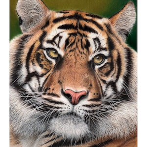 Tiger Fine Art Giclee Print - Big cat print 8x10 inches