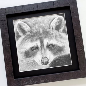 Raccoon - Realistic graphite Illustration in a rustic wood effect frame.