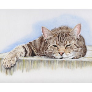 Sleepy Tabby Cat - Limited (150) Edition Giclee Fine Art Print, 8 x 10 inches