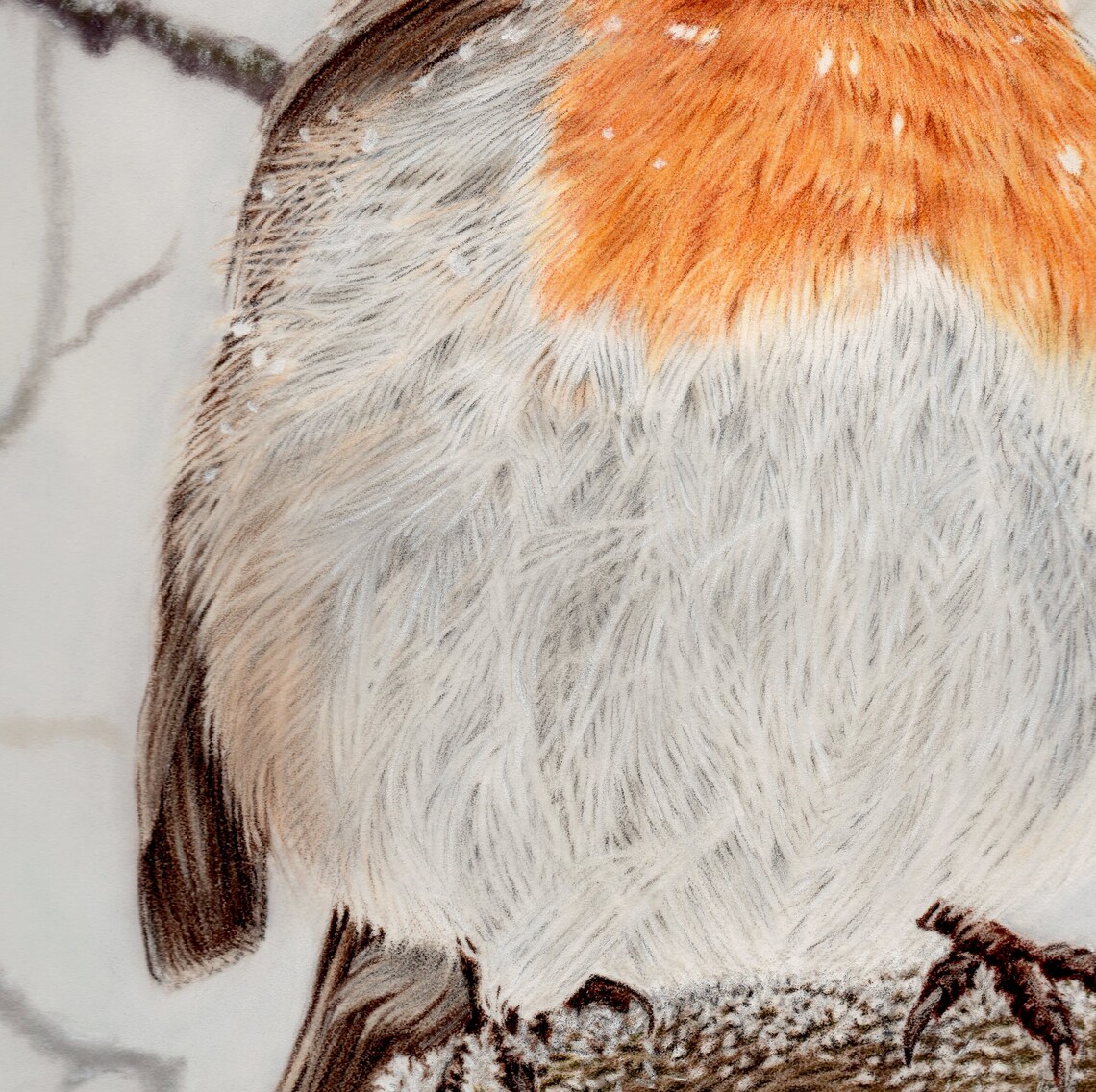 Robin Fine Art Giclee Print Robin Redbreast. - Etsy UK