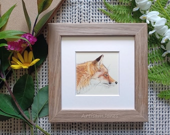 Red Fox Mini Framed Original Coloured Pencil Illustration