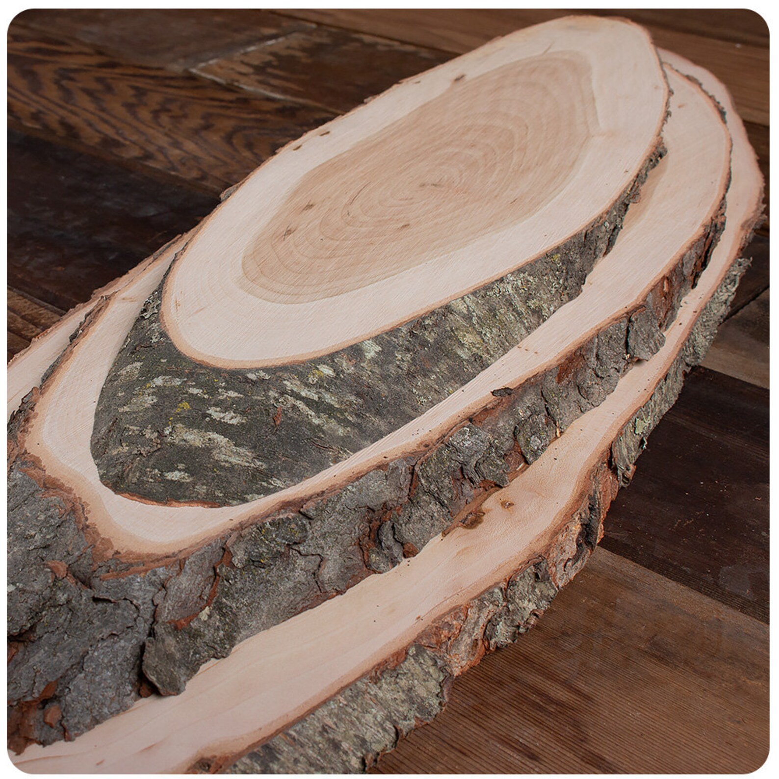 Live Edge Decorative Wood Slab / Plaque Cherry Wood Set of 3 Etsy