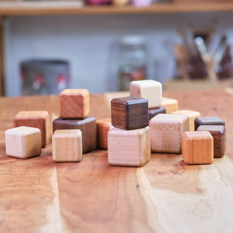 Wood Building Blocks, 24 Pieces, Tri-Color & Multi-Size image 5