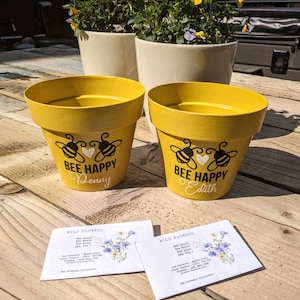 May include: Two yellow flower pots with black bee and heart designs. The pots are labelled "Bee Happy Penny" and "Bee Happy Edith".  Two seed packets for wild flowers are in the foreground.