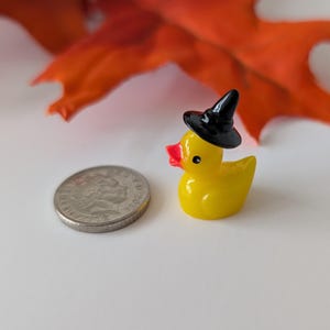 May include: A small, yellow rubber ducky wearing a black witch hat and a red beak. A coin is next to the duck, and orange leaves are in the background. The duck is a Halloween-themed decoration.