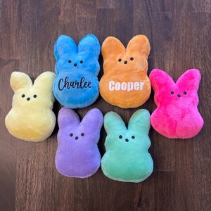 May include: Six plush Easter bunny toys in different colors, including blue, orange, yellow, purple, green, and pink. The blue bunny has the name "Charlee" embroidered on it, and the orange bunny has the name "Cooper" embroidered on it.