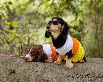 Candy Corn Dog Sweater | Small Breed | Crochet | Dog Costume | Halloween | Dachshund | Chihuahua | Dog Sweater | Pet Costume | Candycorn