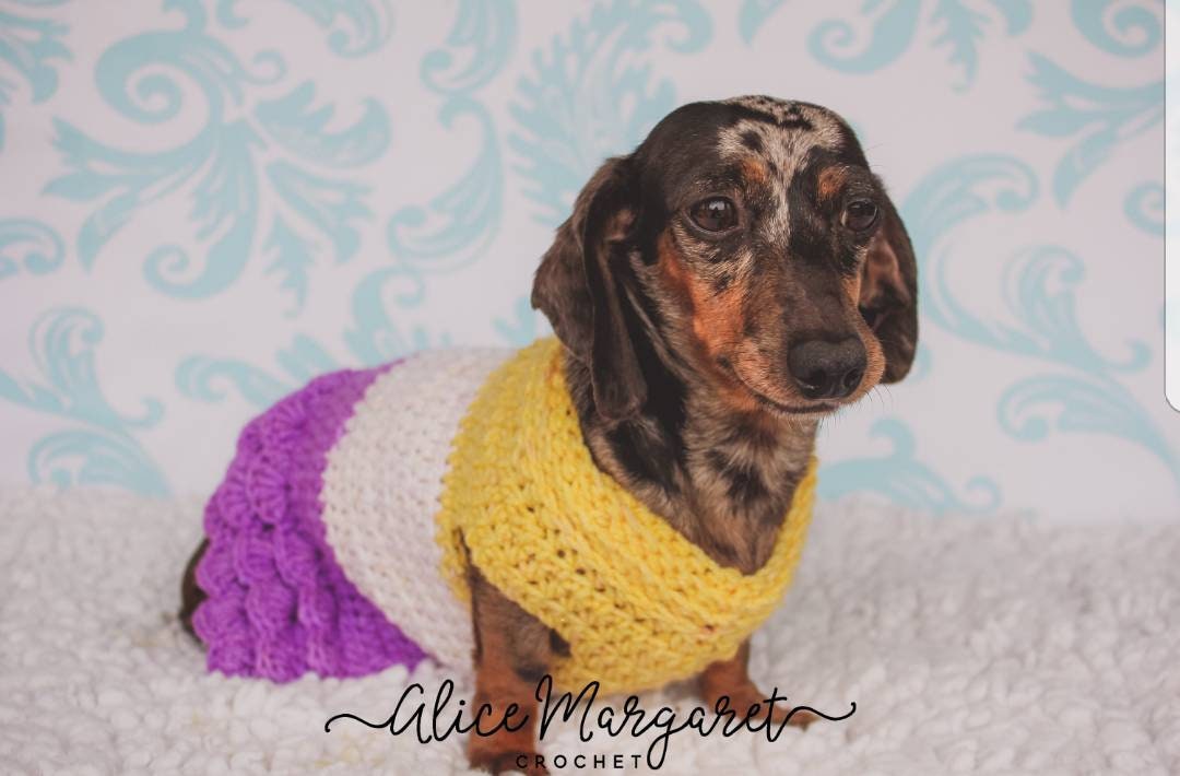 dog sweater dress