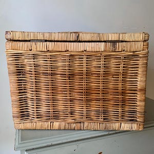 Peut inclure: Un panier de rangement rectangulaire en osier avec un couvercle &agrave; charni&egrave;re. Le panier est fait d'osier tiss&eacute; brun clair et repose sur une commode bleu clair. Le panier est de couleur naturelle et a une texture tiss&eacute;e.