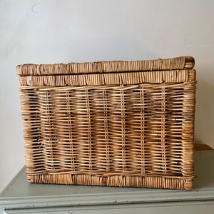 Peut inclure: Un panier de rangement rectangulaire en osier avec un couvercle &agrave; charni&egrave;re. Le panier est fait d'osier tiss&eacute; brun clair et repose sur une surface bleu clair. Le panier est con&ccedil;u pour le stockage et l'organisation.