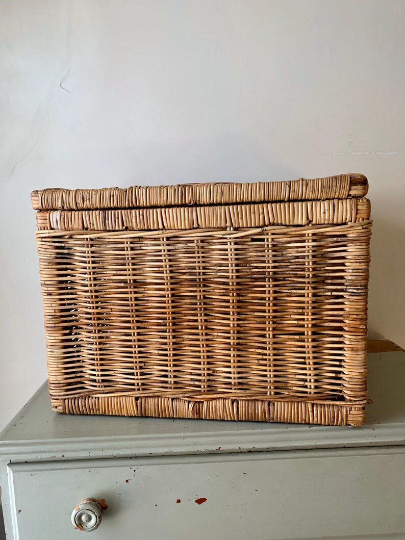 Peut inclure: Un panier de rangement rectangulaire en osier avec un couvercle &agrave; charni&egrave;re. Le panier est fait d'osier tiss&eacute; brun clair et repose sur une surface bleu clair. Le panier est con&ccedil;u pour le stockage et l'organisation.