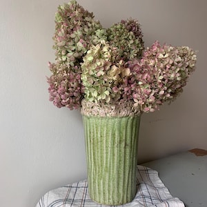 PRE ORDER for September Shipping- Limelight Hydrangea Bouquet, 6 Stems, Pink and Green Dried Flower Arrangement