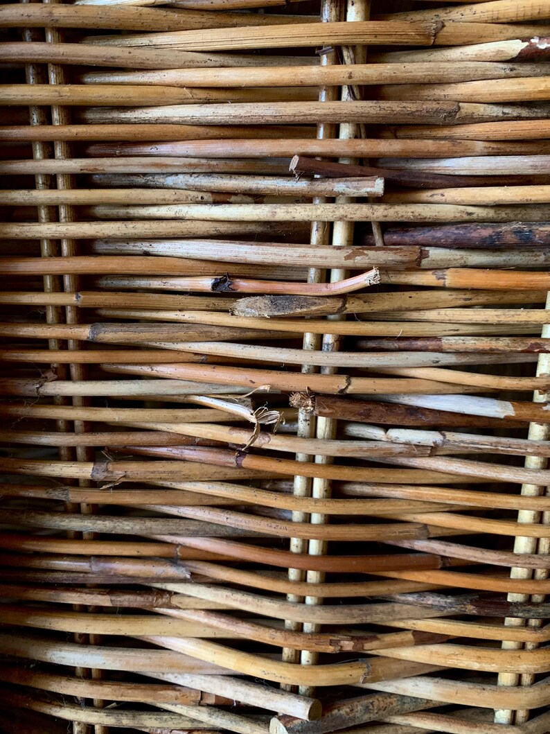 Peut inclure: Gros plan sur un panier en osier tress&eacute;. Le panier est fait de roseaux naturels de couleur marron clair et beige. Les roseaux sont tiss&eacute;s horizontalement et verticalement, cr&eacute;ant une surface textur&eacute;e. Le tissage est serr&eacute; et le panier semble robuste.