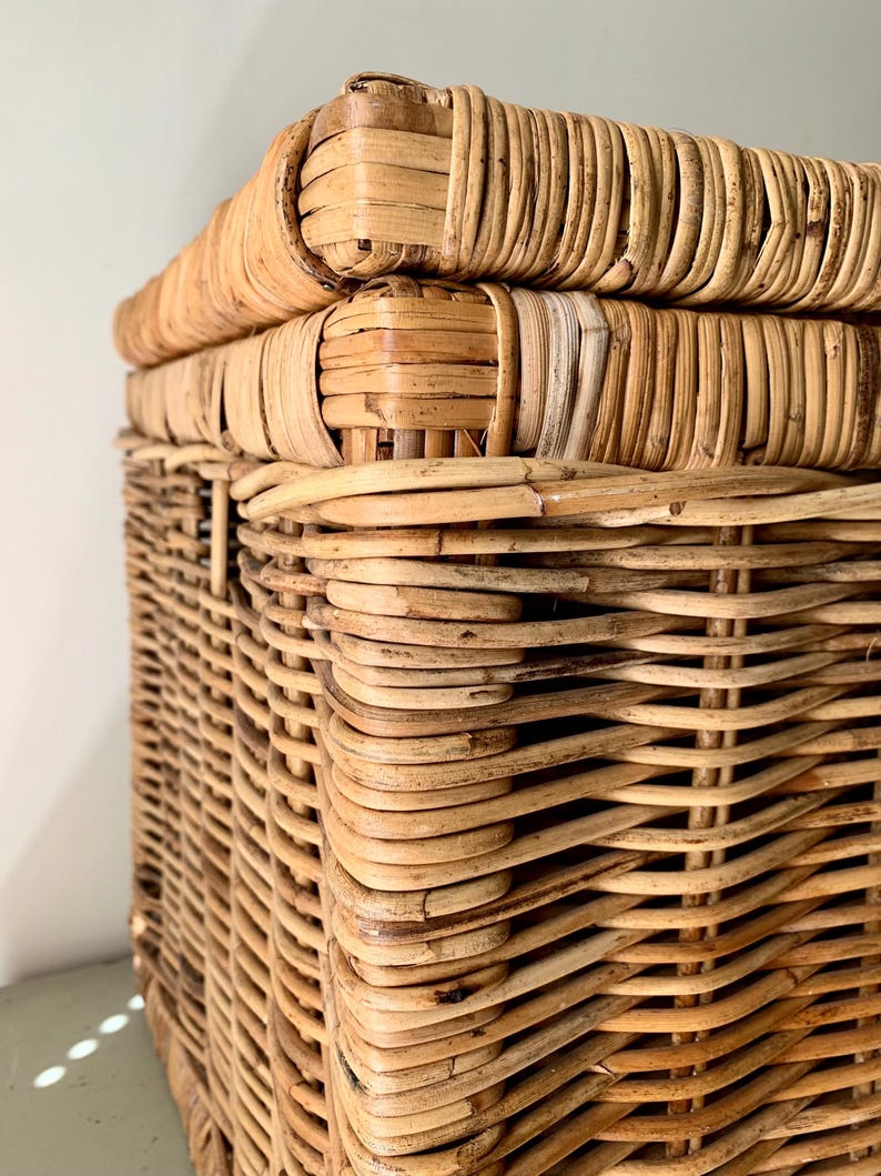 Peut inclure: Gros plan sur un panier de rangement en rotin tress&eacute; avec un couvercle. Le panier est rectangulaire avec des coins arrondis et une couleur marron clair naturelle. Le couvercle est &eacute;galement en rotin tress&eacute; et s'adapte parfaitement.