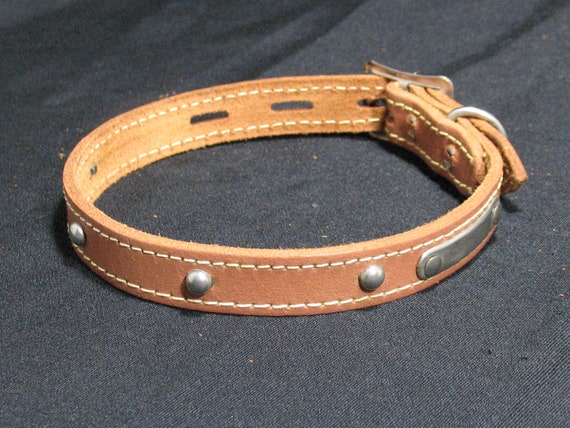 locking dog collar