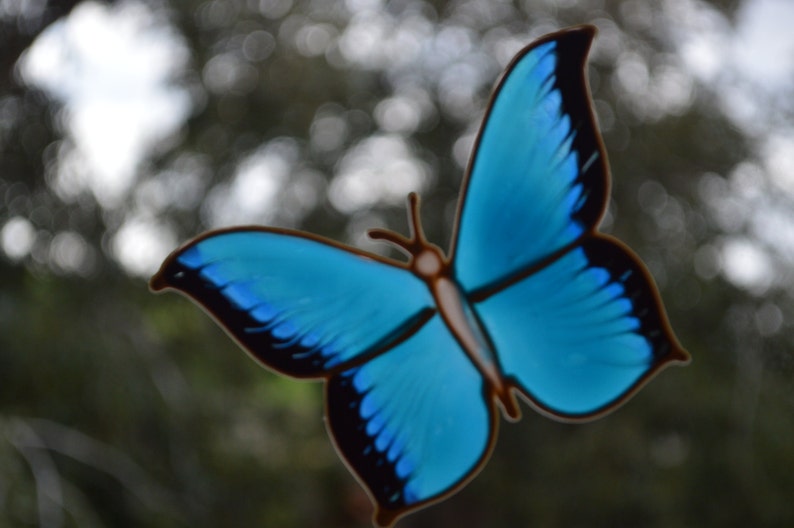Butterfly Decor Butterfly Glass Door Decal Tile Decal Faux Etsy