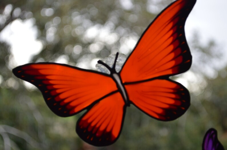 Butterfly Decal Butterfly Stickers Butterfly Mirror Window Etsy