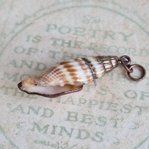 Ribbed Seashell Pendant - Copper Bail & Leaf Detail, Natural Beach Jewellery