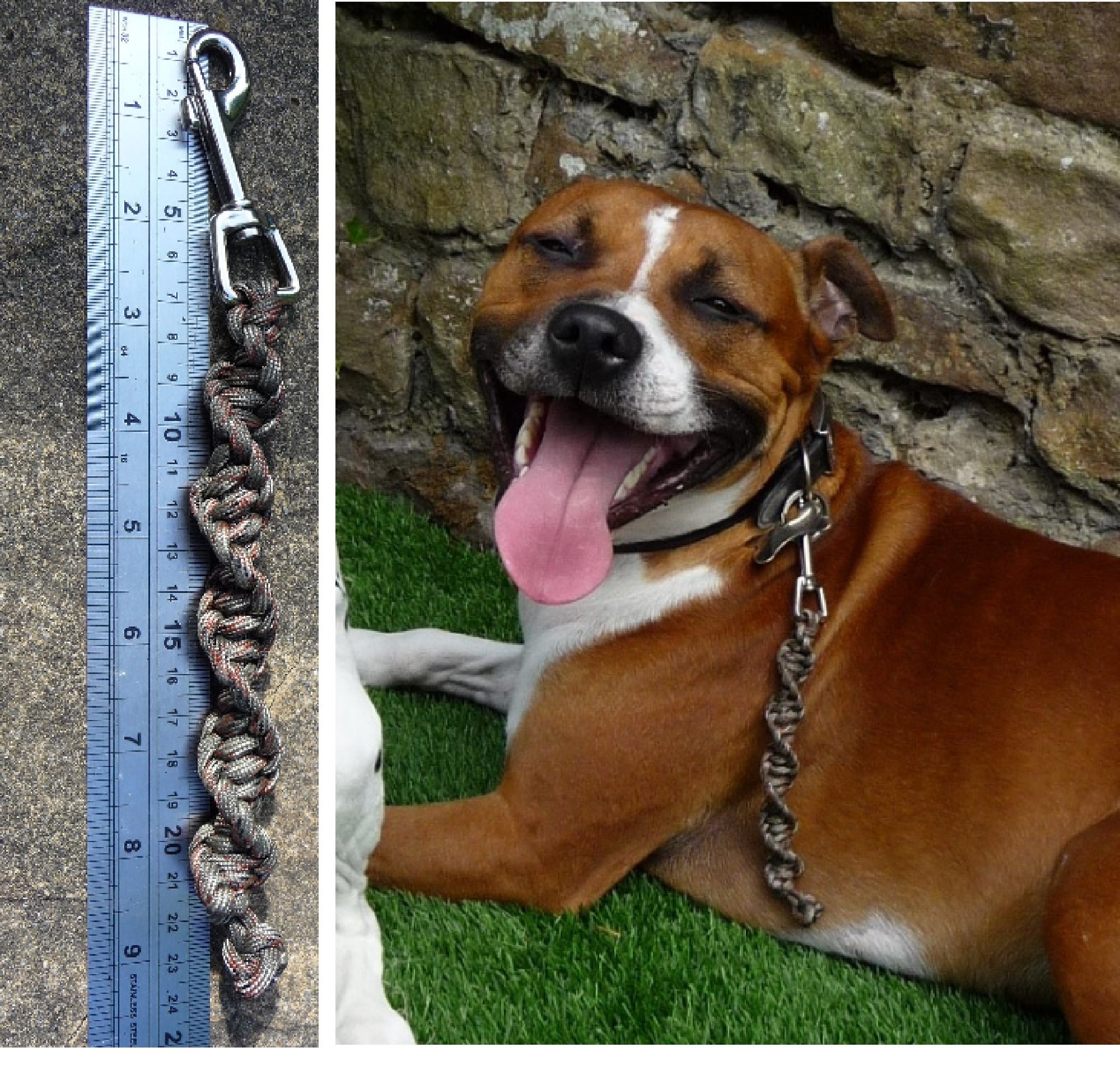 Dog Grab Lead Grab Tab Training Tab Agility Lead Horse Etsy 日本