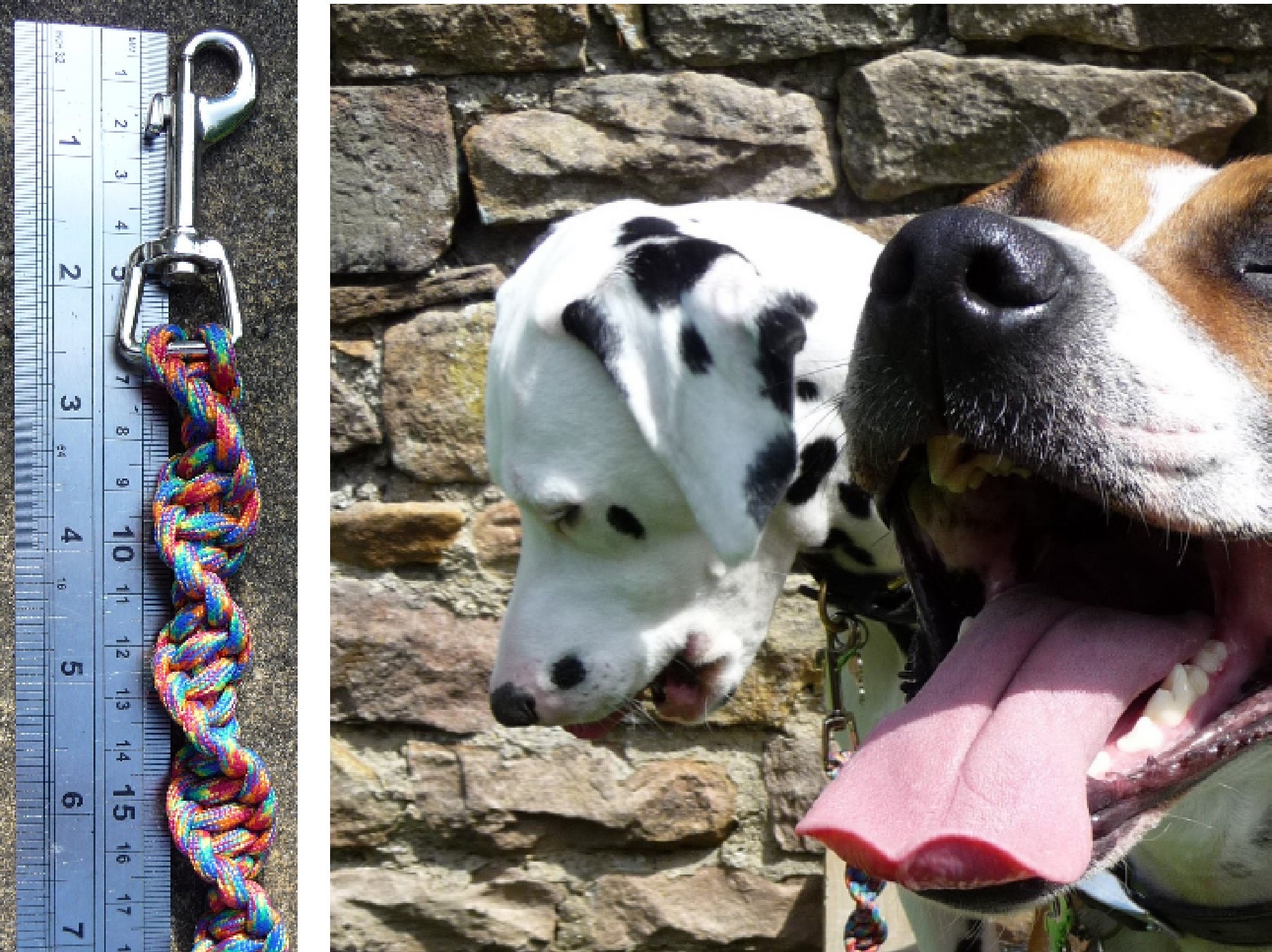 Dog Grab Lead Grab Tab Training Tab Agility Lead Horse Etsy 日本