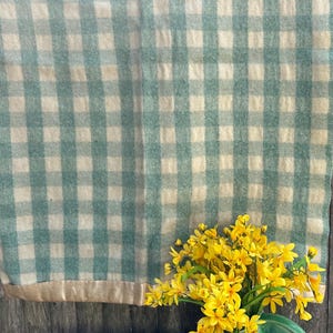 May include: A green and white checkered blanket with a tan border hangs in the background. A green vase holds a bouquet of bright yellow flowers, creating a cheerful contrast.