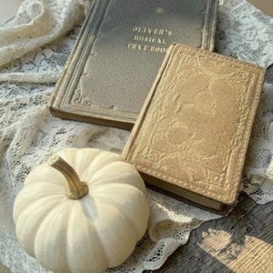 May include: A white pumpkin with a tan stem sits next to two vintage books. The larger book is grey with the text "OLIVER'S MUSICAL PHRASE BOOK" in gold lettering. The smaller book is tan with an embossed, intricate floral pattern on the cover.