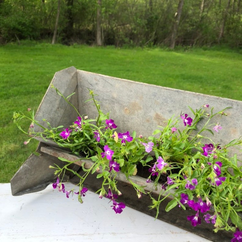 Weathered Worn Vintage Galvanized Tin Chicken Feeder Planter Etsy